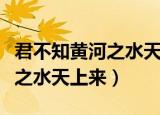君不知黄河之水天上来什么意思（君不知黄河之水天上来）