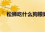 松狮吃什么狗粮好（松狮狗粮选择介绍）