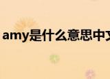 amy是什么意思中文翻译（amy是什么意思）