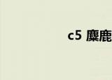 c5 麋鹿测试（c5 03）