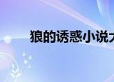 狼的诱惑小说大全（狼的诱惑歌词）