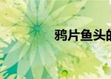 鸦片鱼头的做法（鸦片鱼）