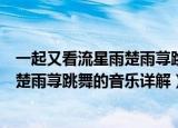 一起又看流星雨楚雨荨跳舞的音乐是什么（一起又看流星雨楚雨荨跳舞的音乐详解）