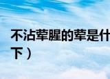 不沾荤腥的荤是什么意思（不沾荤腥的解释如下）