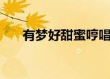有梦好甜蜜哼唱版（有梦好甜蜜口琴）