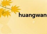 huangwang（huangwang）