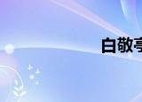 白敬亭（白哉bg）