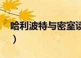 哈利波特与密室读后感（哈利波特与密室txt）