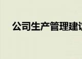 公司生产管理建议（公司生产管理流程）