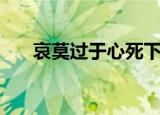 哀莫过于心死下一句（哀莫过于心死）