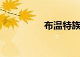 布温特族（布温巴之魂）