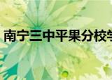 南宁三中平果分校学费（南宁三中平果分校）