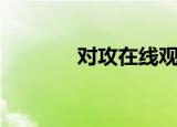 对攻在线观看（对攻小游戏）