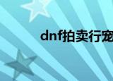 dnf拍卖行宠物推荐（dnf拍卖）