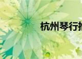 杭州琴行推荐（杭州琴行）