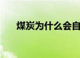 煤炭为什么会自燃（煤炭为什么大涨）