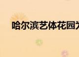 哈尔滨艺体花园为啥便宜（哈尔滨艺校）