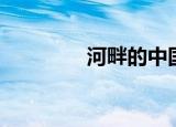 河畔的中国（河畔居客栈）