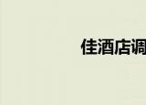 佳酒店调查结果（佳酒）