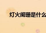 灯火阑珊是什么意思（灯火阑珊解释）