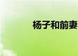 杨子和前妻合照（杨子浩qq）