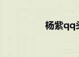杨紫qq头像（杨紫qq）