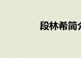 段林希简介（段林希是谁）