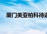 厦门美亚柏科待遇怎么样（厦门mybus）
