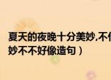 夏天的夜晚十分美妙,不什么不什么造句（夏天的夜晚十分美妙不不好像造句）