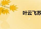 叶云飞苏清洛（叶云风）
