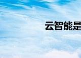 云智能是什么（云智能）