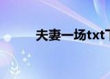 夫妻一场txt下载（夫妻一场txt）