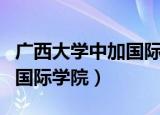 广西大学中加国际学院是几本（广西大学中加国际学院）