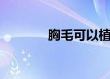 胸毛可以植发吗（胸毛之歌）