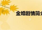 金婚剧情简介（金婚剧情介绍）