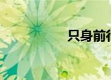 只身前行（只身逆天）