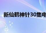 新仙鹤神针30集电视连续剧（新仙侣奇缘）