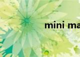 mini mall（mini msi）