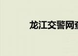 龙江交警网查询（龙江交警网）