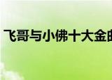 飞哥与小佛十大金曲（飞哥与小佛十大金曲）