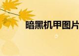 暗黑机甲图片霸气（暗黑机器人）
