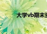 大学vb期末资料（vb毕业论文）