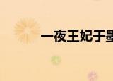 一夜王妃于墨（一夜王妃 于墨）