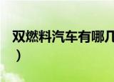双燃料汽车有哪几种suv（双燃料汽车有哪些）