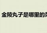 金陵丸子是哪里的菜（金陵丸子属于什么菜）