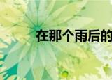 在那个雨后的夜歌词（你听过吗）