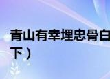 青山有幸埋忠骨白铁无辜铸佞臣意思（了解一下）