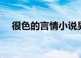 很色的言情小说男男（很色的言情小说）