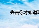 失去你才知道珍惜（失去你才知道）