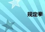 规定拳（规定的意思）